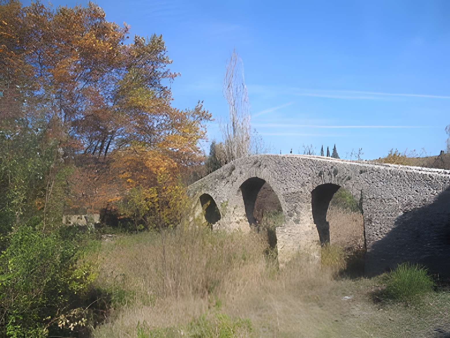 Pont-Vieux de Rieux-en-Val 