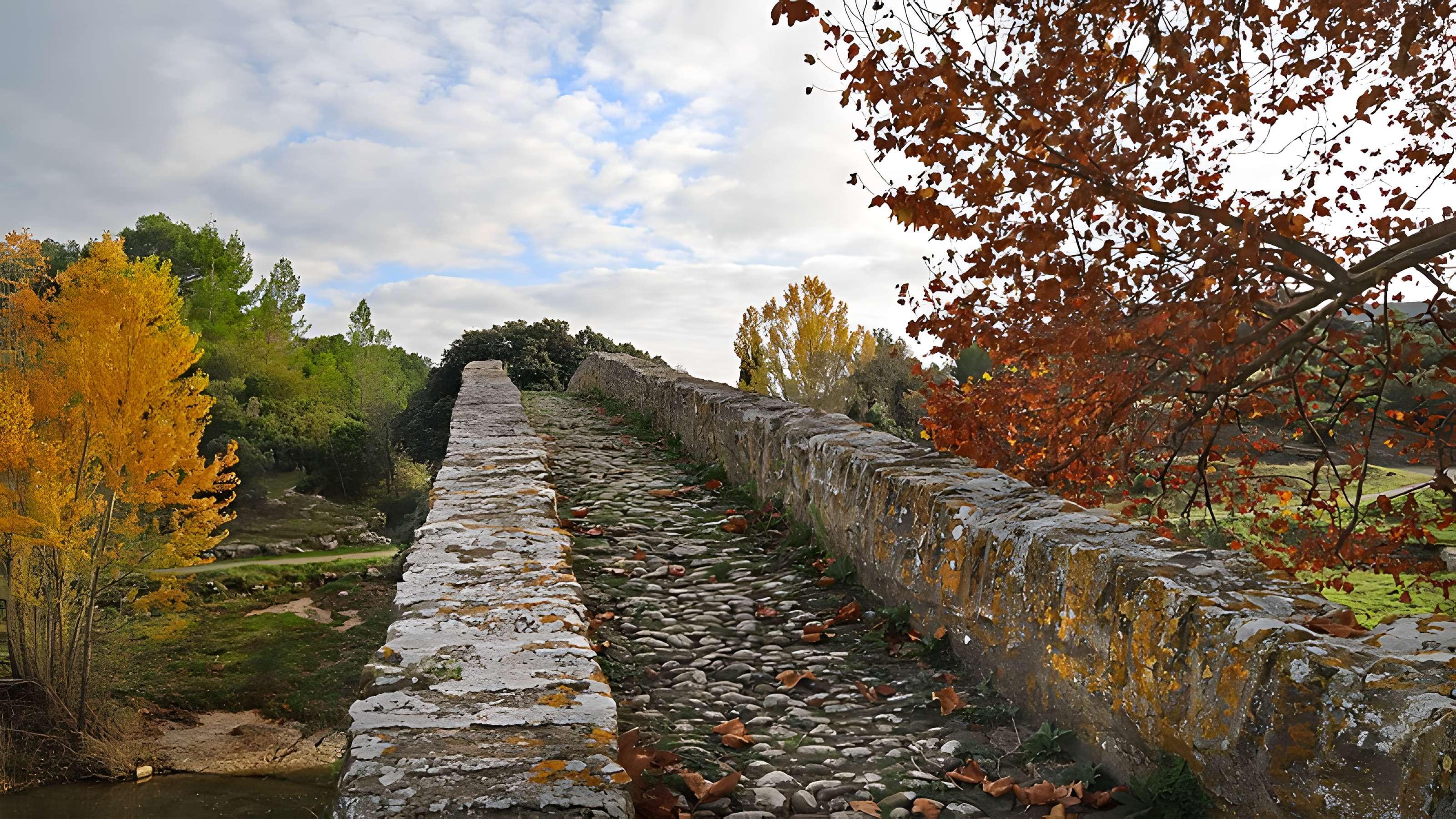 Pont-Vieux de Rieux-en-Val