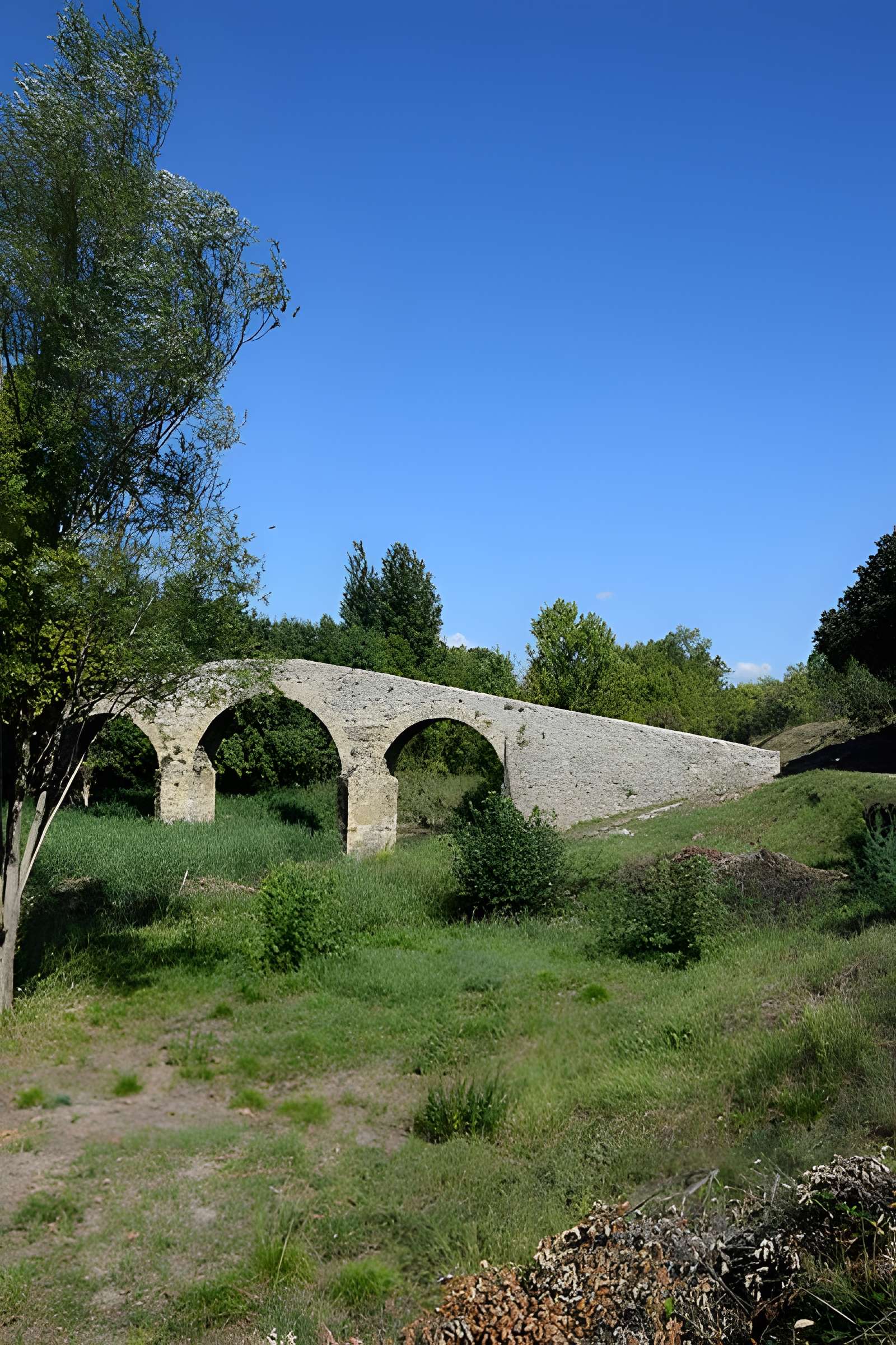 Pont-Vieux de Rieux-en-Val