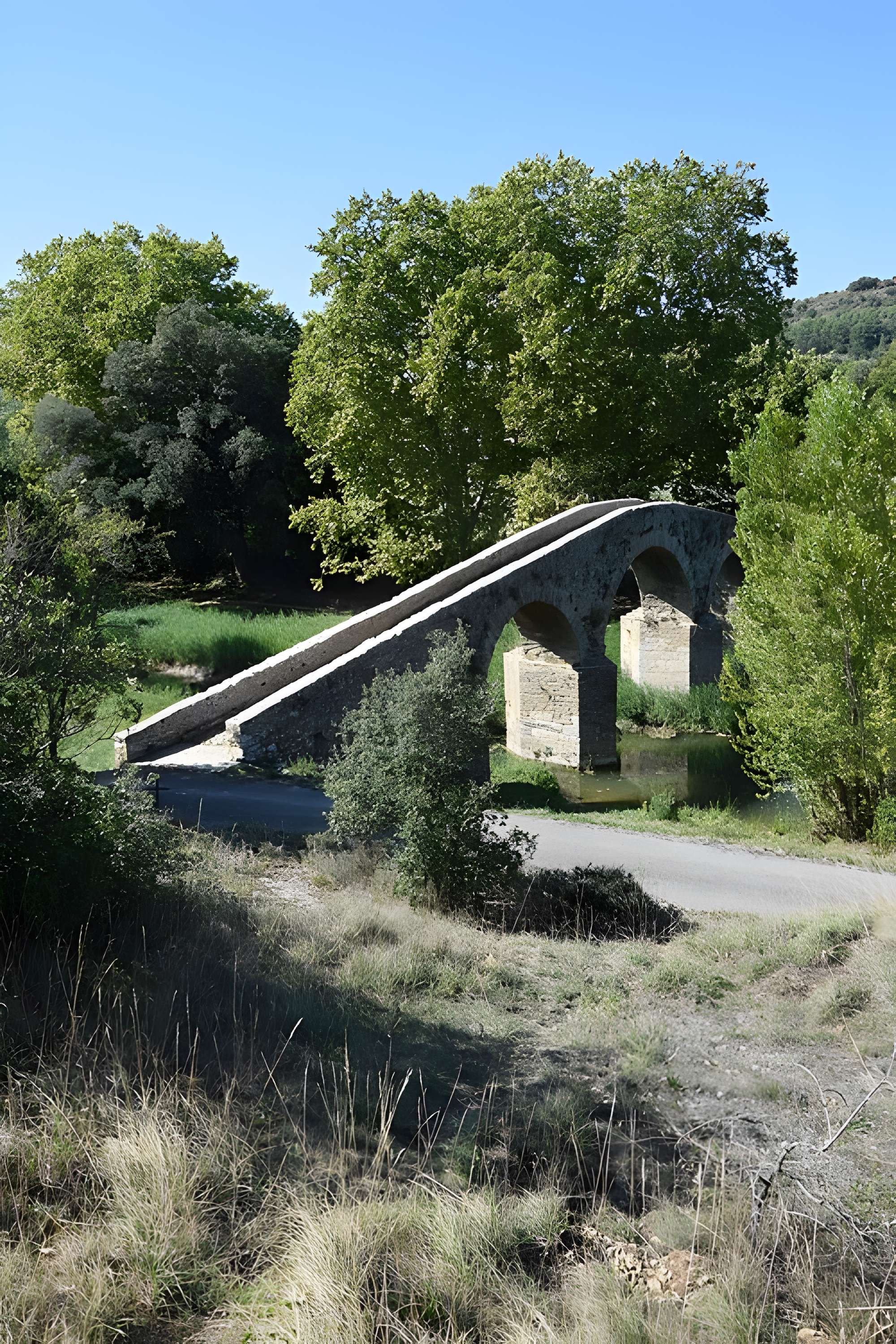 Pont-Vieux de Rieux-en-Val