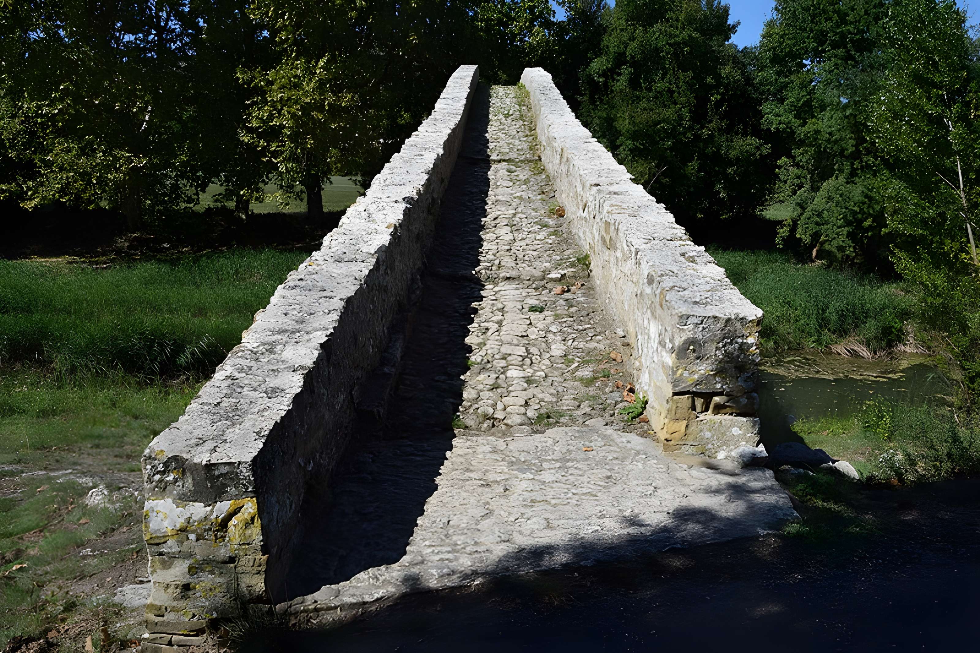 Pont-Vieux de Rieux-en-Val