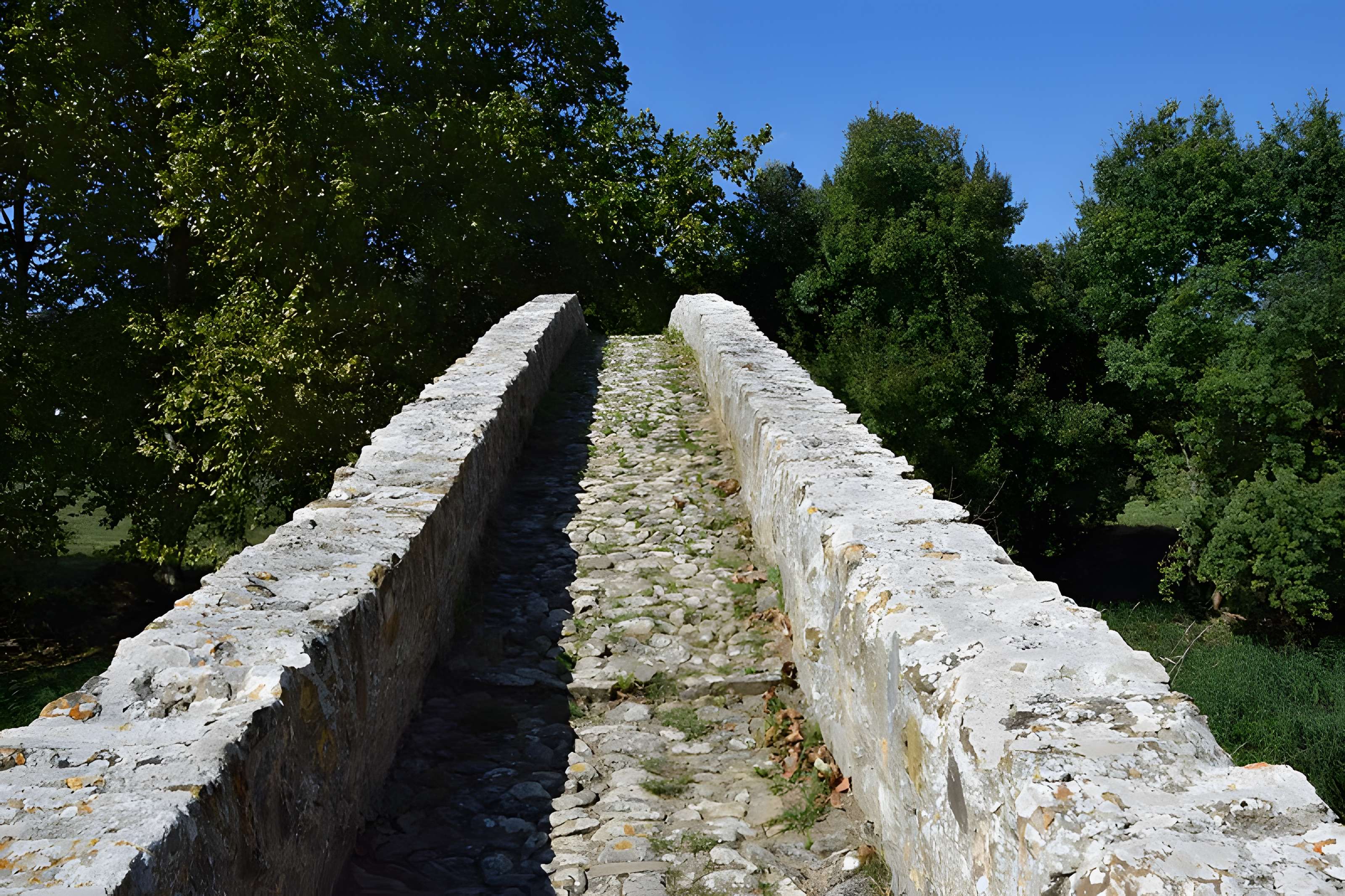 Pont-Vieux de Rieux-en-Val