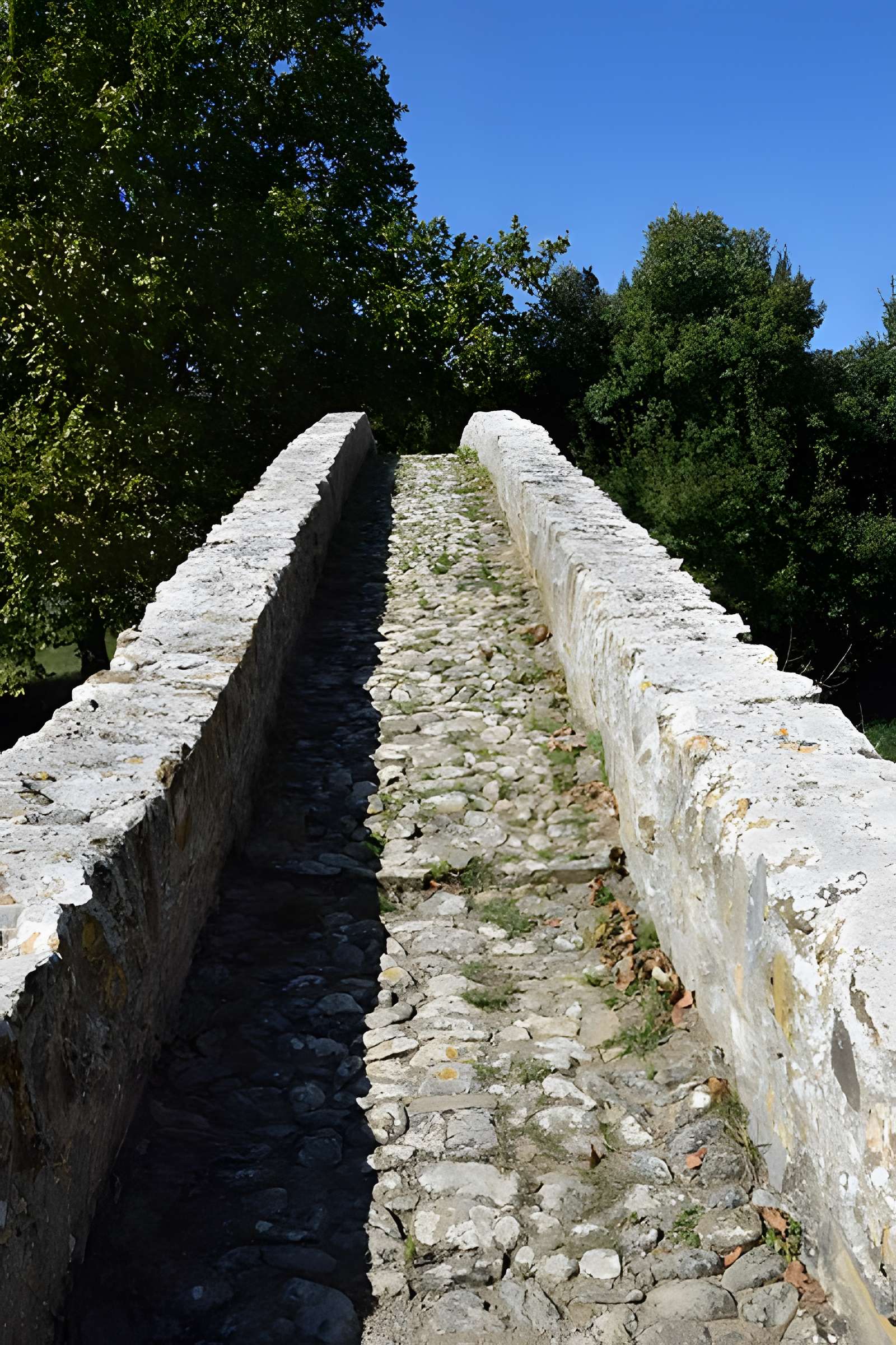 Pont-Vieux de Rieux-en-Val