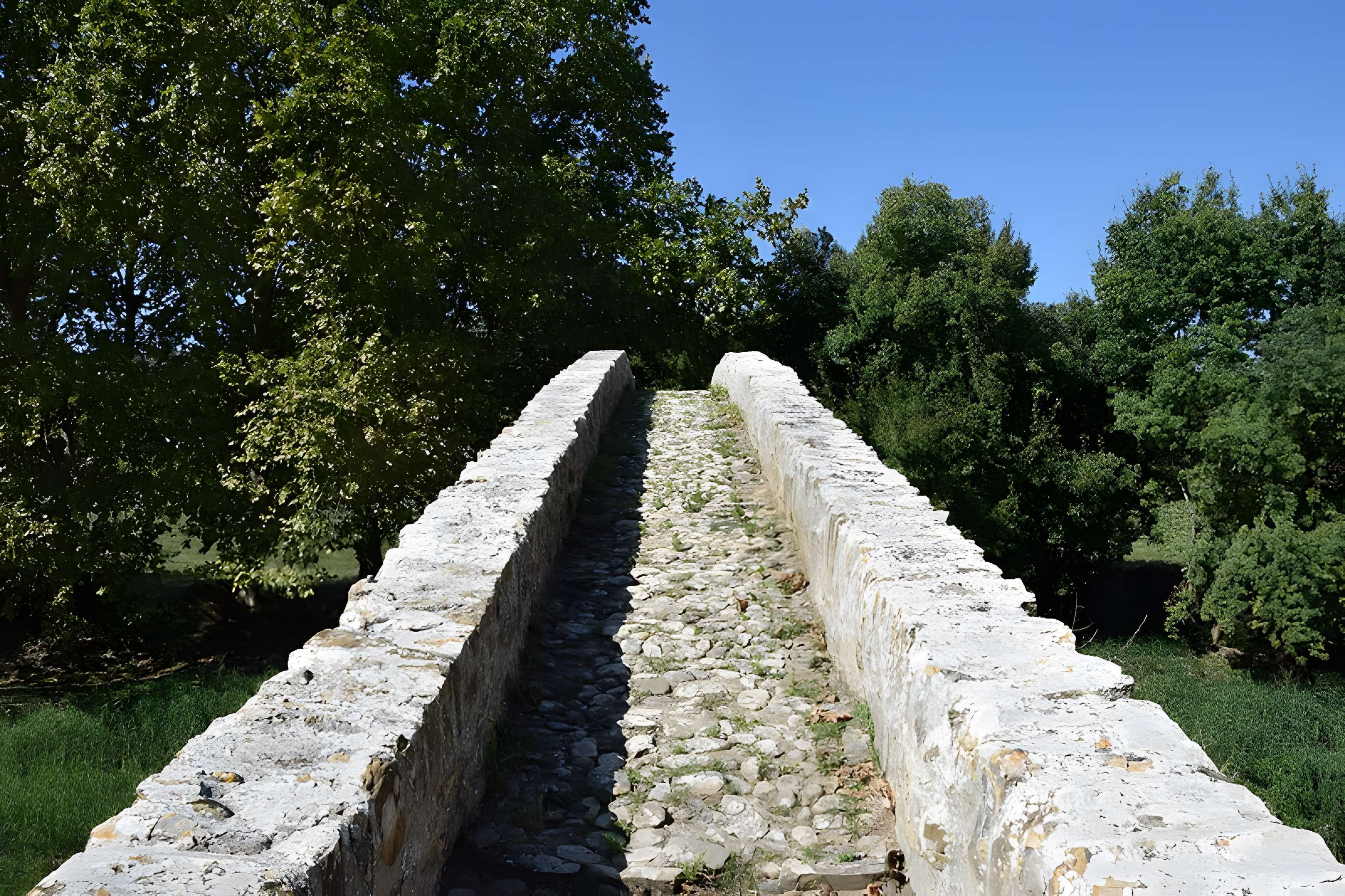 Pont-Vieux de Rieux-en-Val