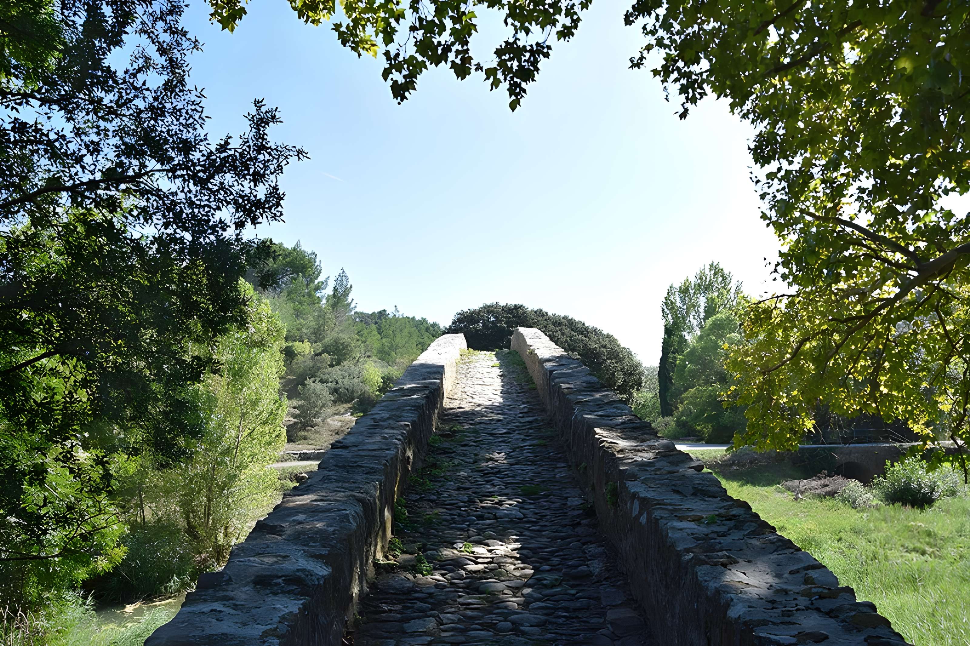Pont-Vieux de Rieux-en-Val