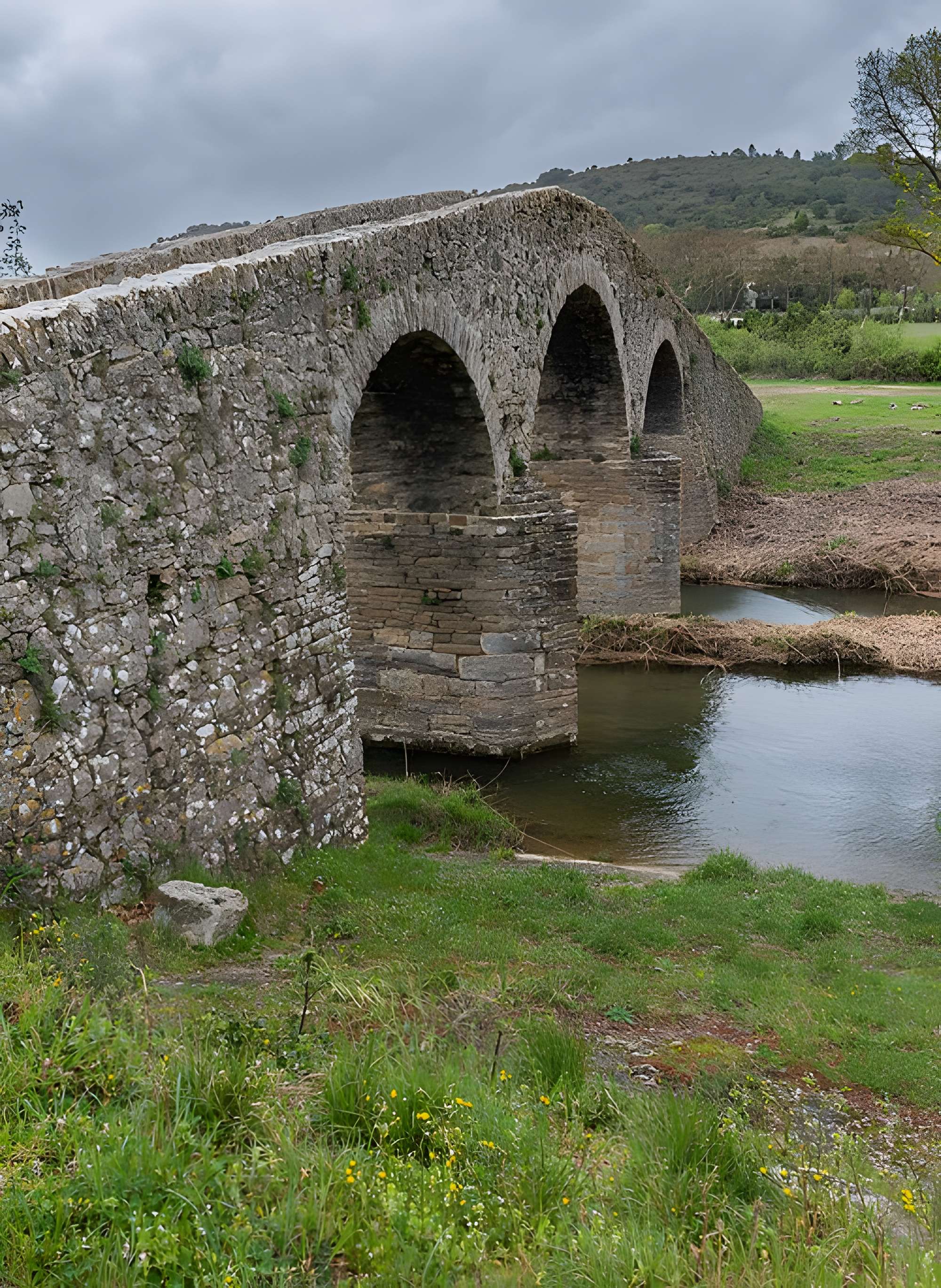 Pont-Vieux de Rieux-en-Val