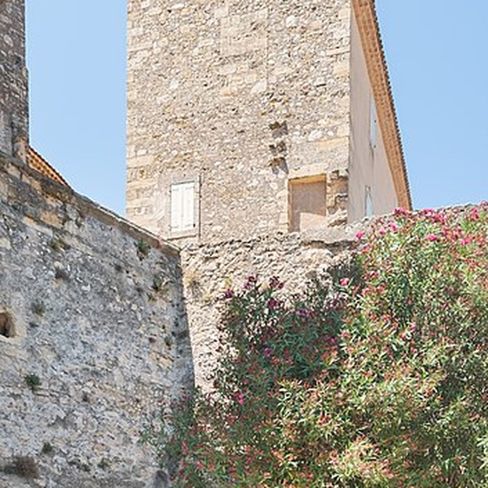 Photo de Château de Puissalicon