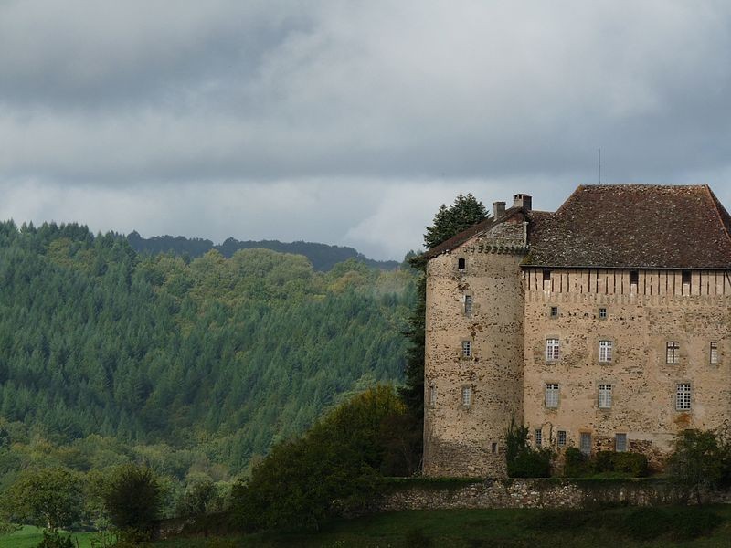 Photo de Château de Puy-Launay