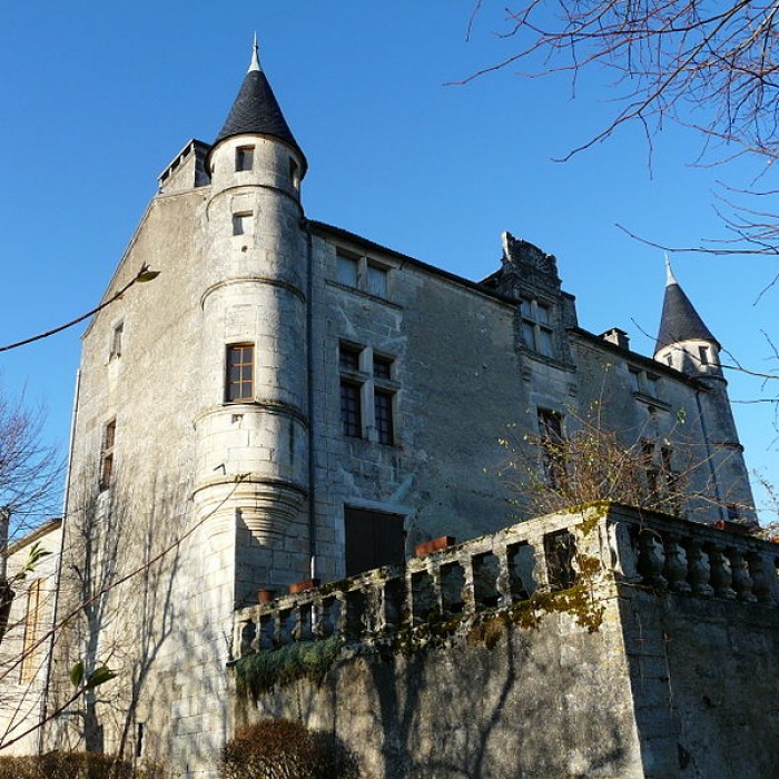Photo de Château de Puymarteau