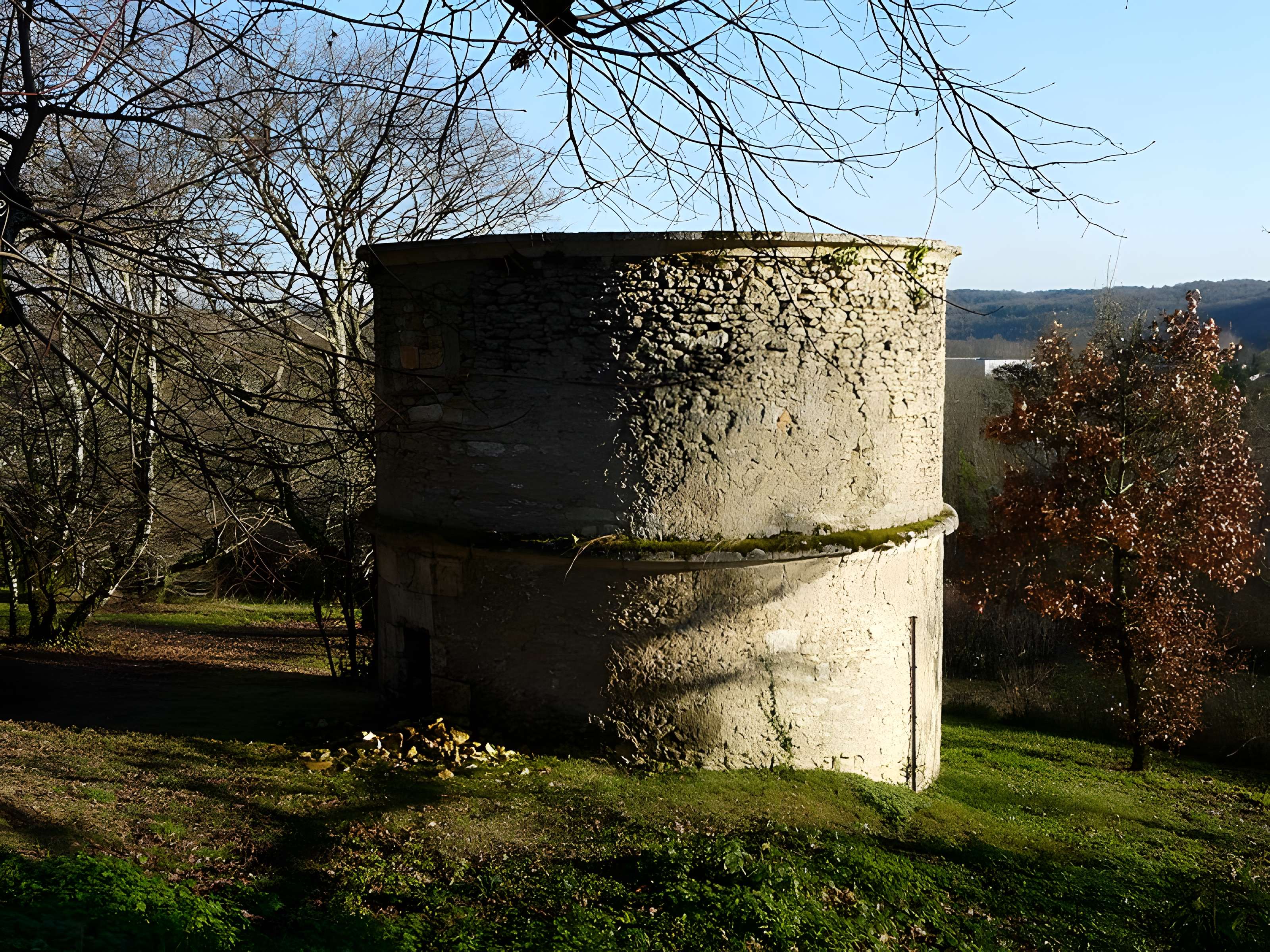 Château de Puymarteau