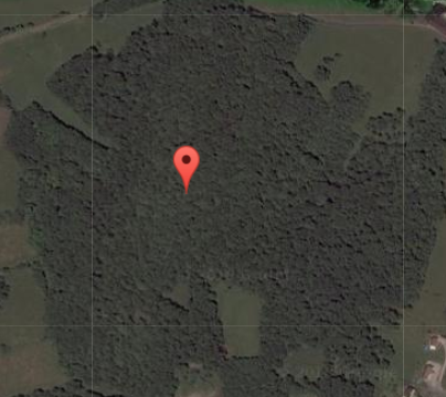 Ruines du château de Pymont 