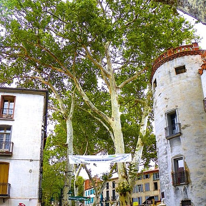 Photo de Portal de France de Céret