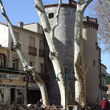 Portal de France de Céret