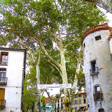 Portal de France de Céret