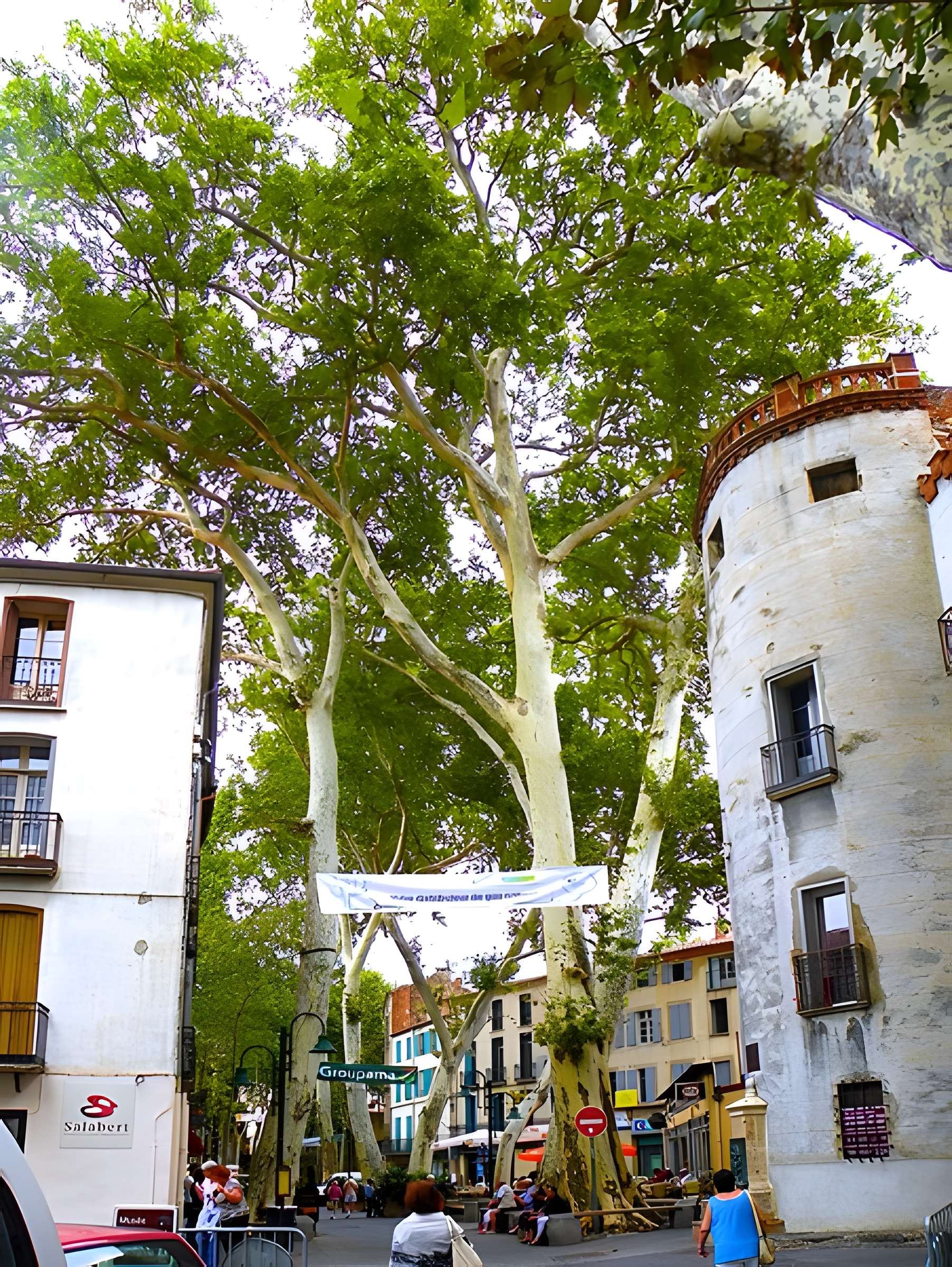 Portal de France de Céret