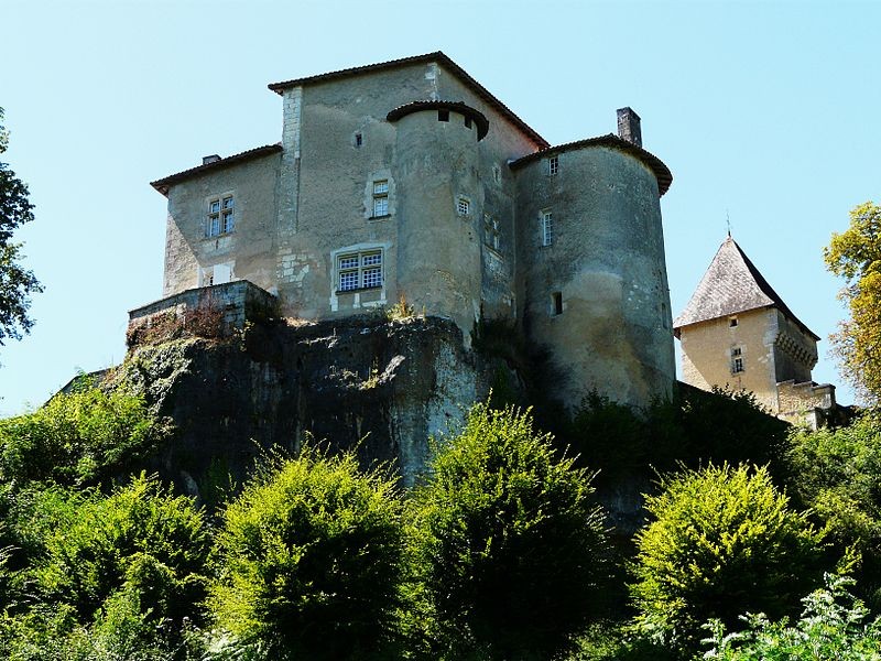 Photo de Château de Ramefort