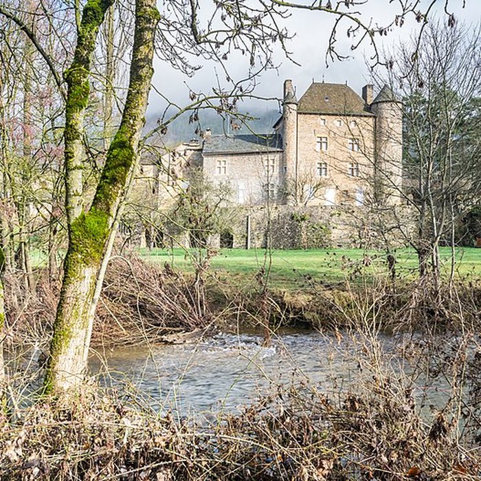 Photo de Château de Ressouches