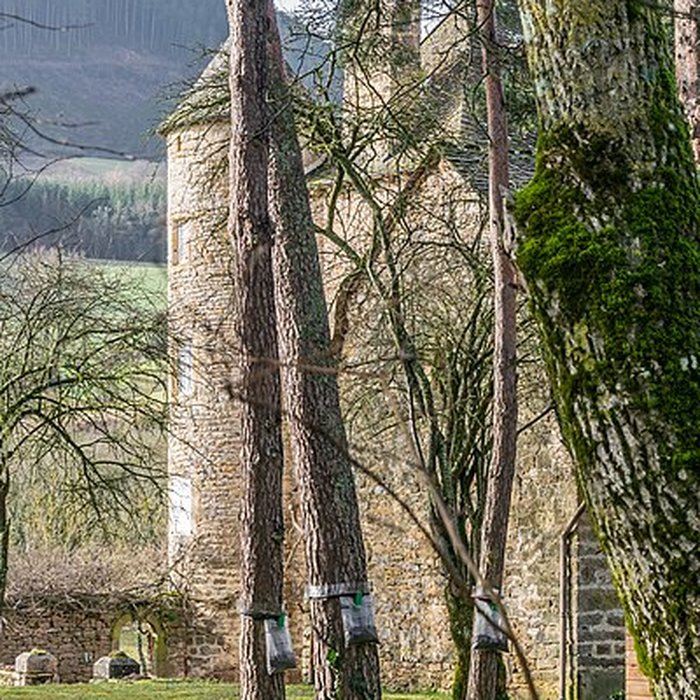 Photo de Château de Ressouches