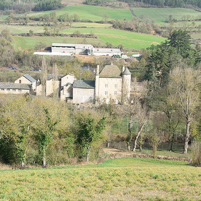 Photo de Château de Ressouches