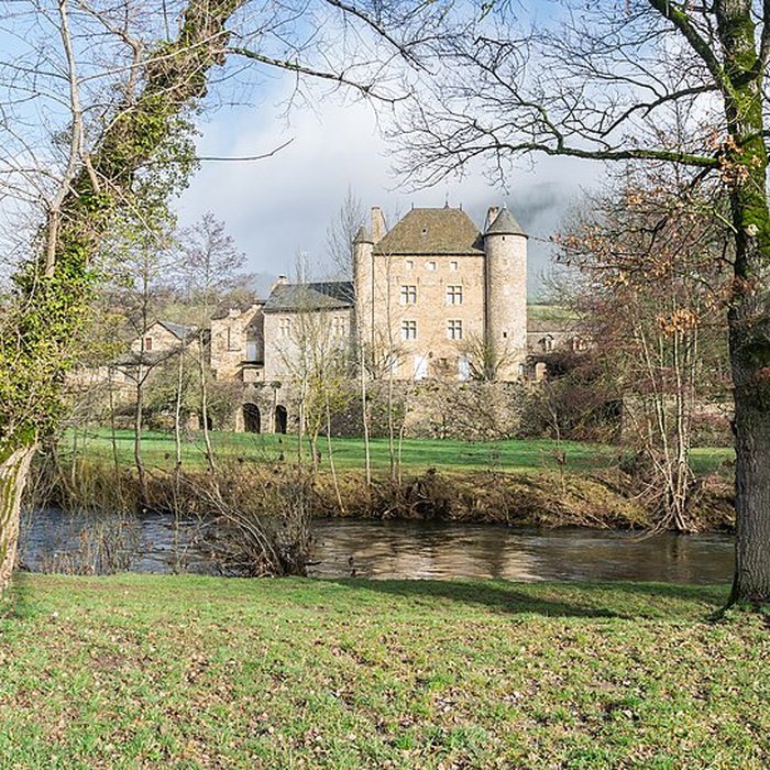 Photo de Château de Ressouches