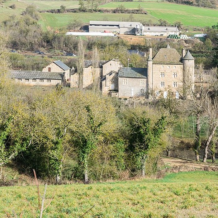 Photo de Château de Ressouches
