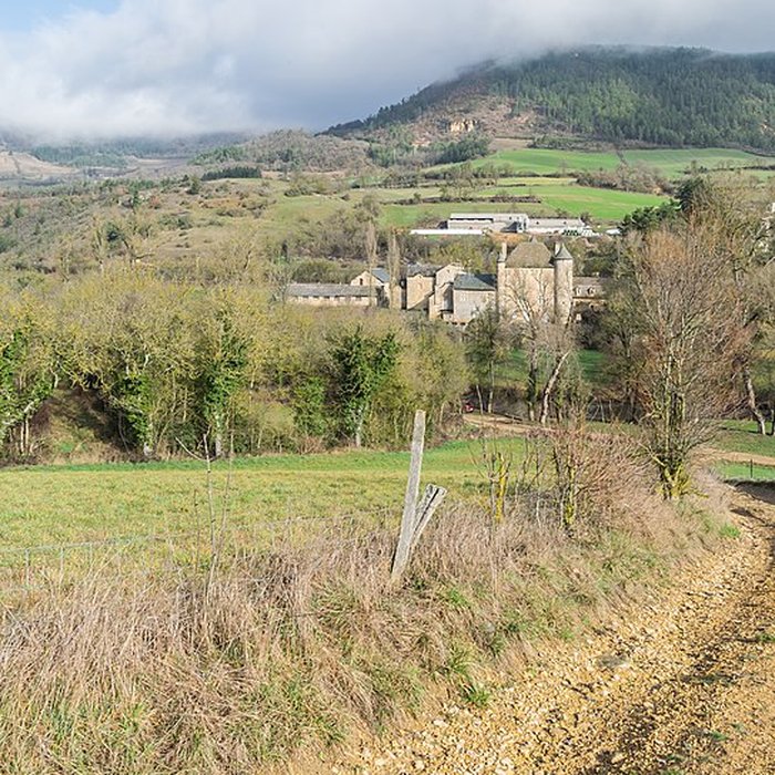 Photo de Château de Ressouches