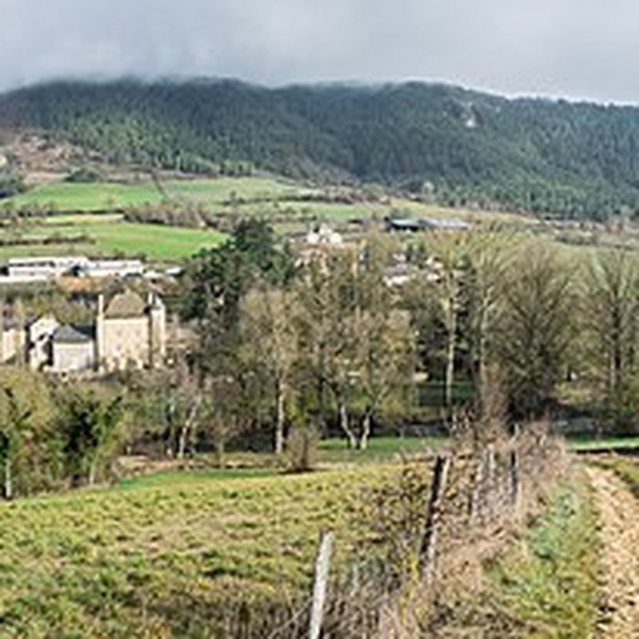 Photo de Château de Ressouches