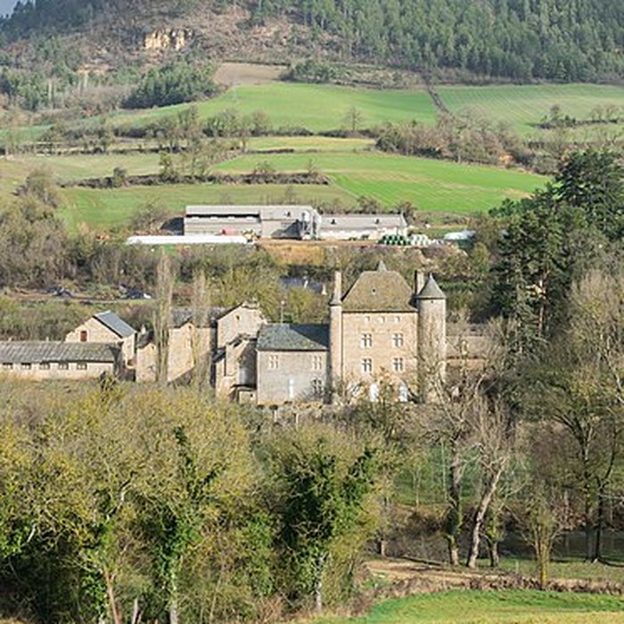 Photo de Château de Ressouches