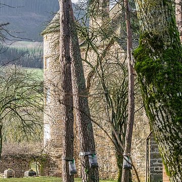 Château de Ressouches