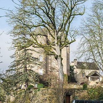 Château de Ressouches