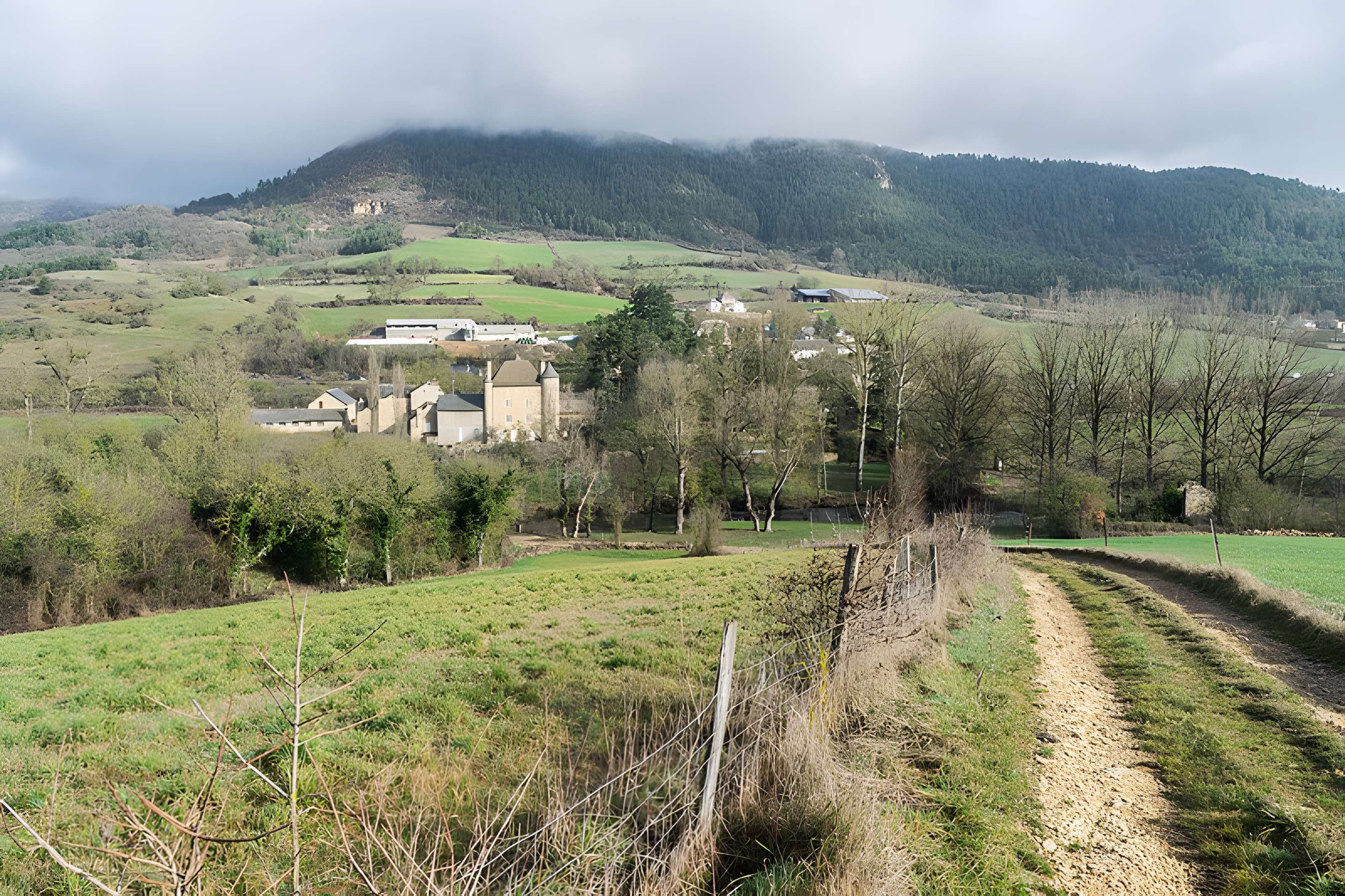 Château de Ressouches
