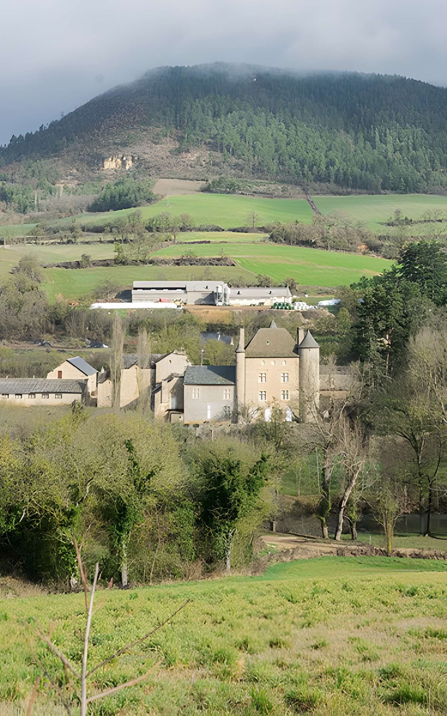 Château de Ressouches