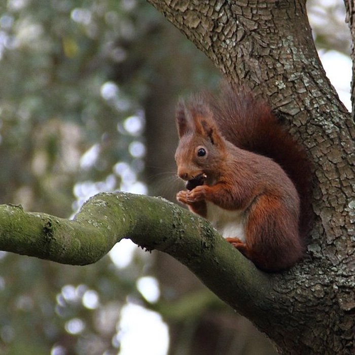 Photo de Château de Reynerie