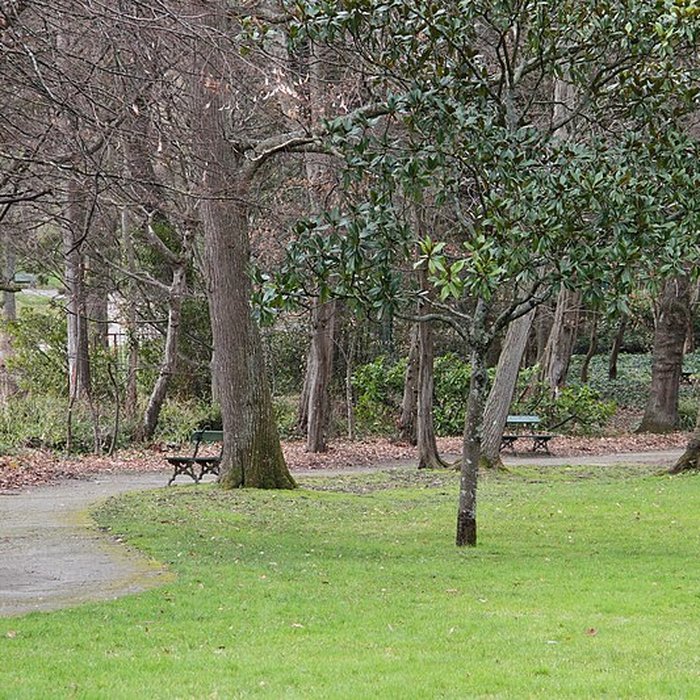 Photo de Château de Reynerie