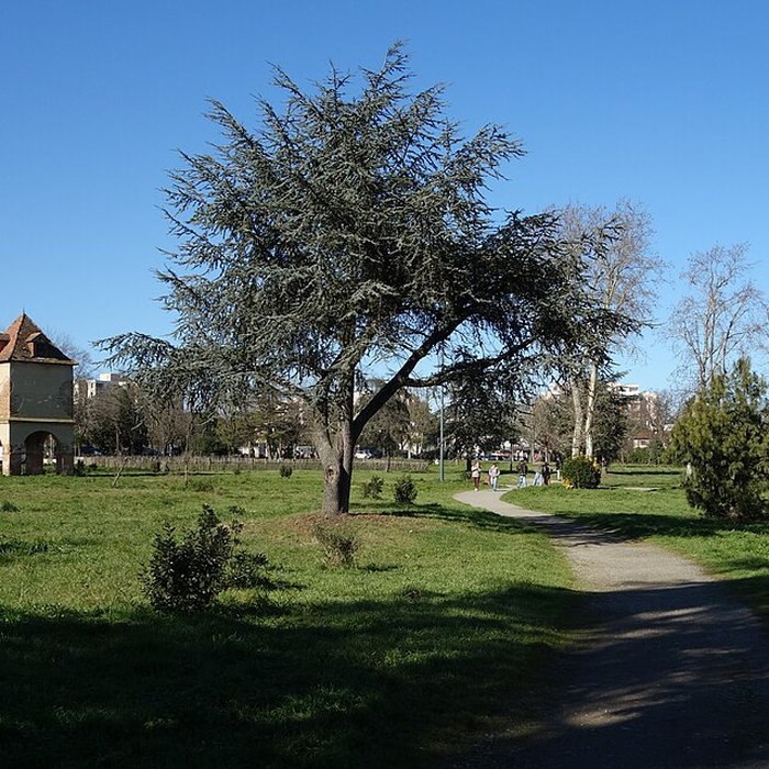 Photo de Château de Reynerie