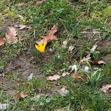 Château de Reynerie