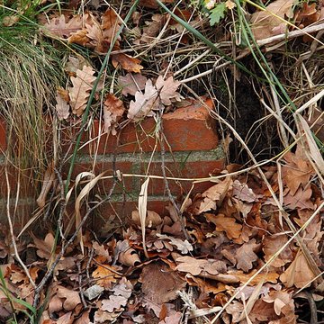 Château de Reynerie