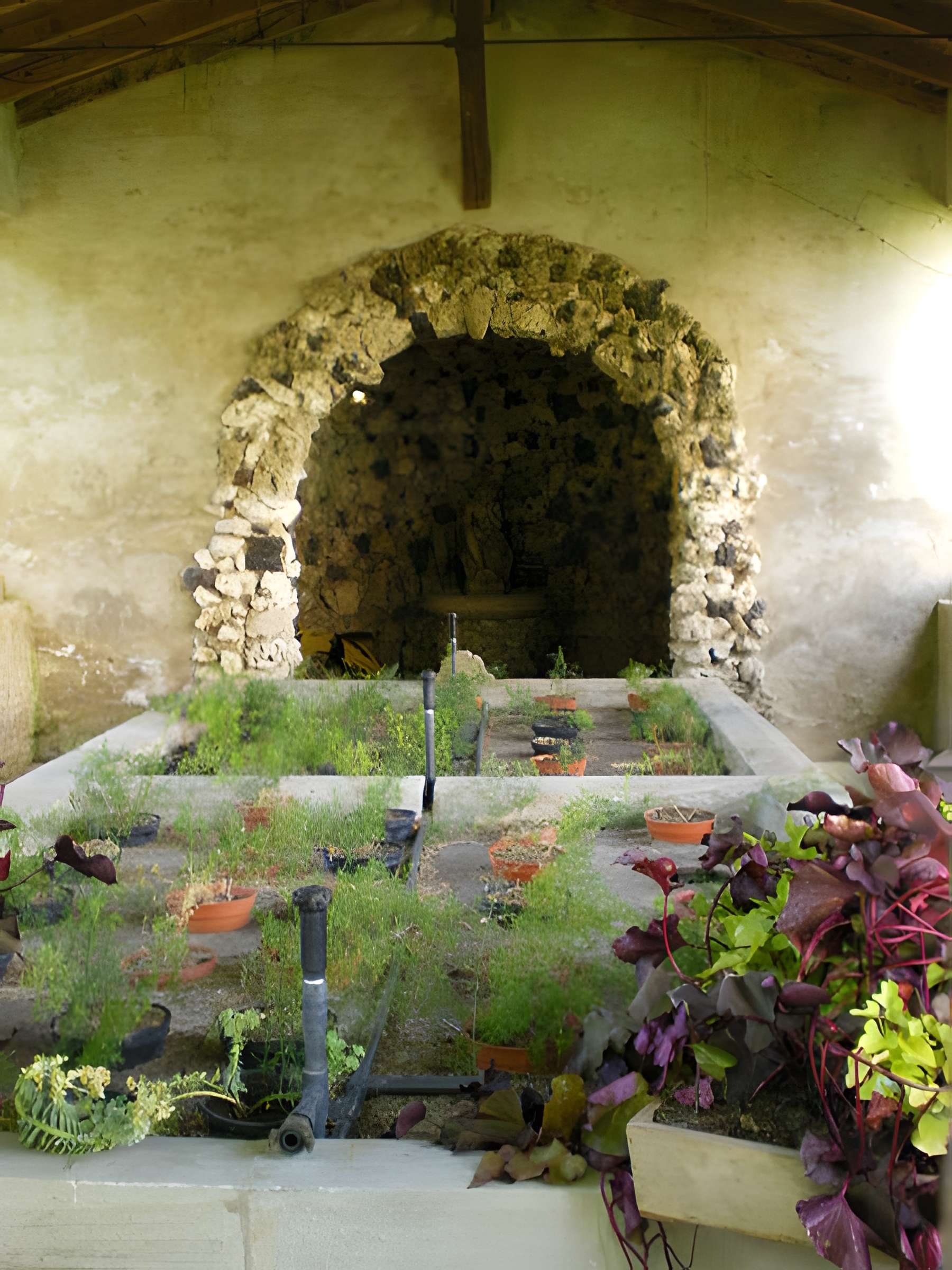 Château de Reynerie