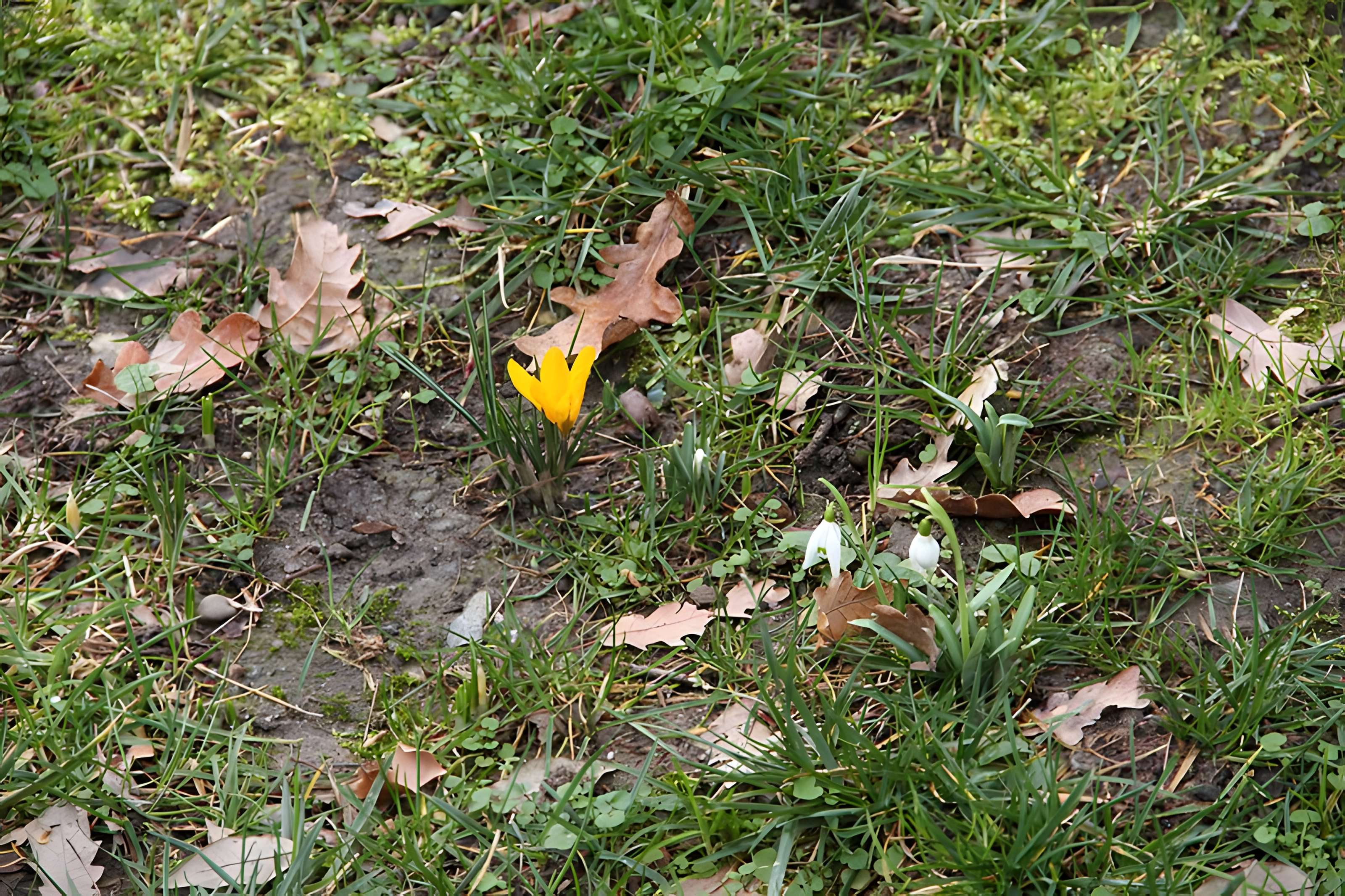 Château de Reynerie