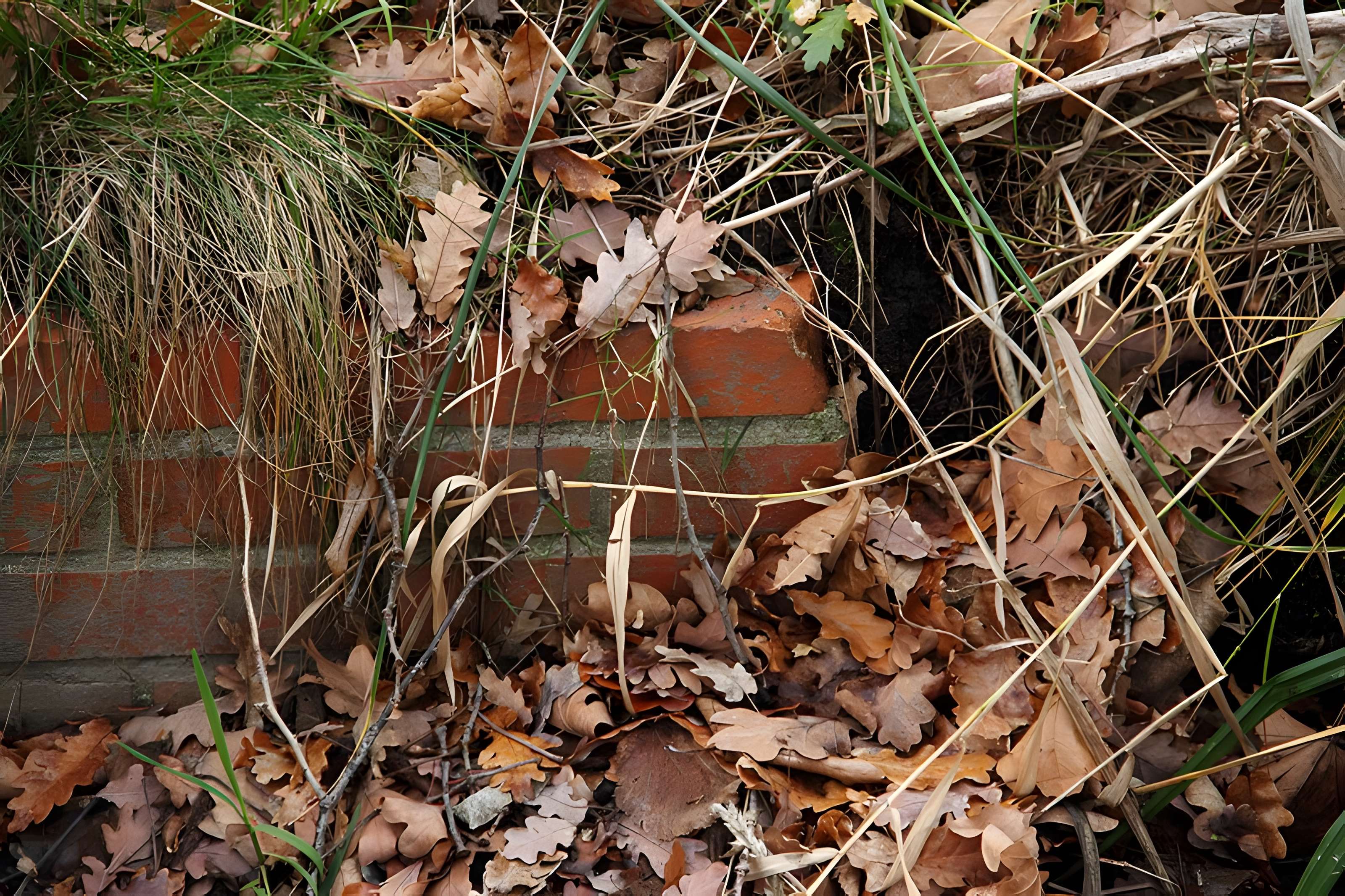 Château de Reynerie