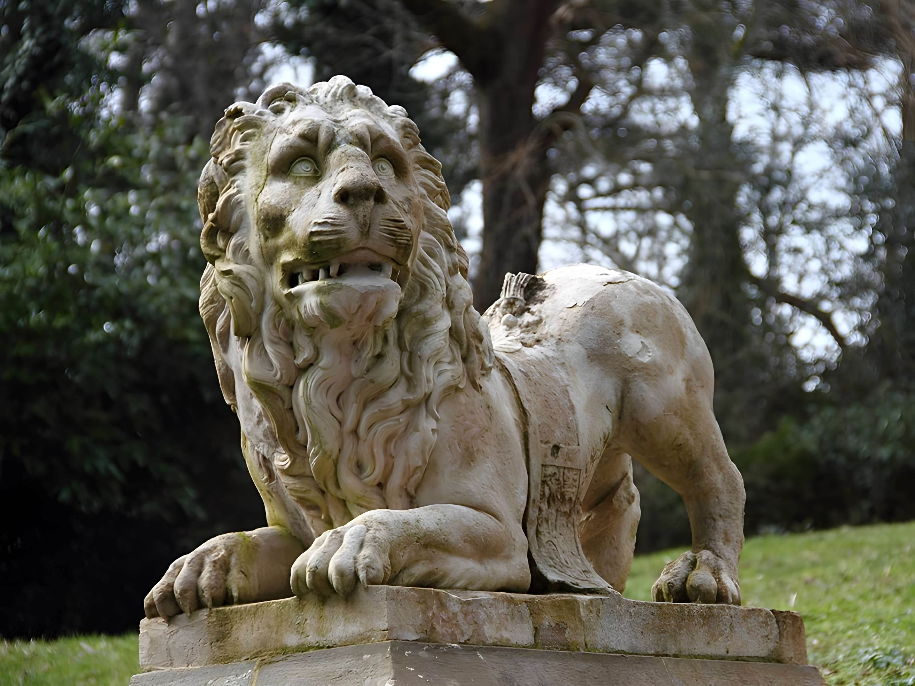 Château de Reynerie