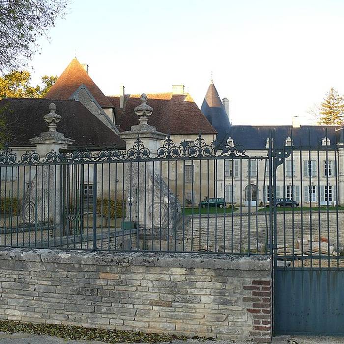 Photo de Château de Ricey-Bas