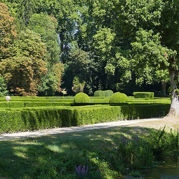 Photo de Château de Ricey-Bas