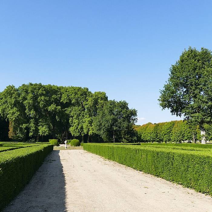 Photo de Château de Ricey-Bas
