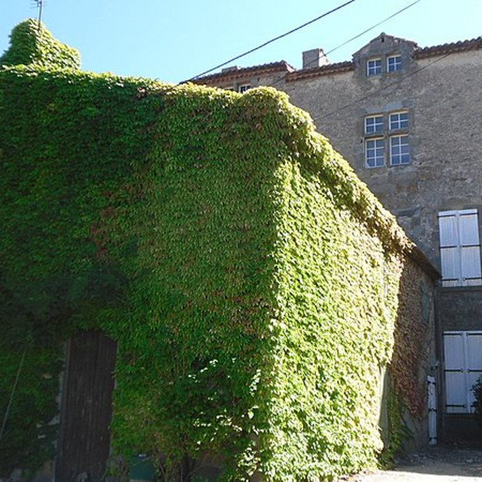 Photo de Château de Rieux-Minervois