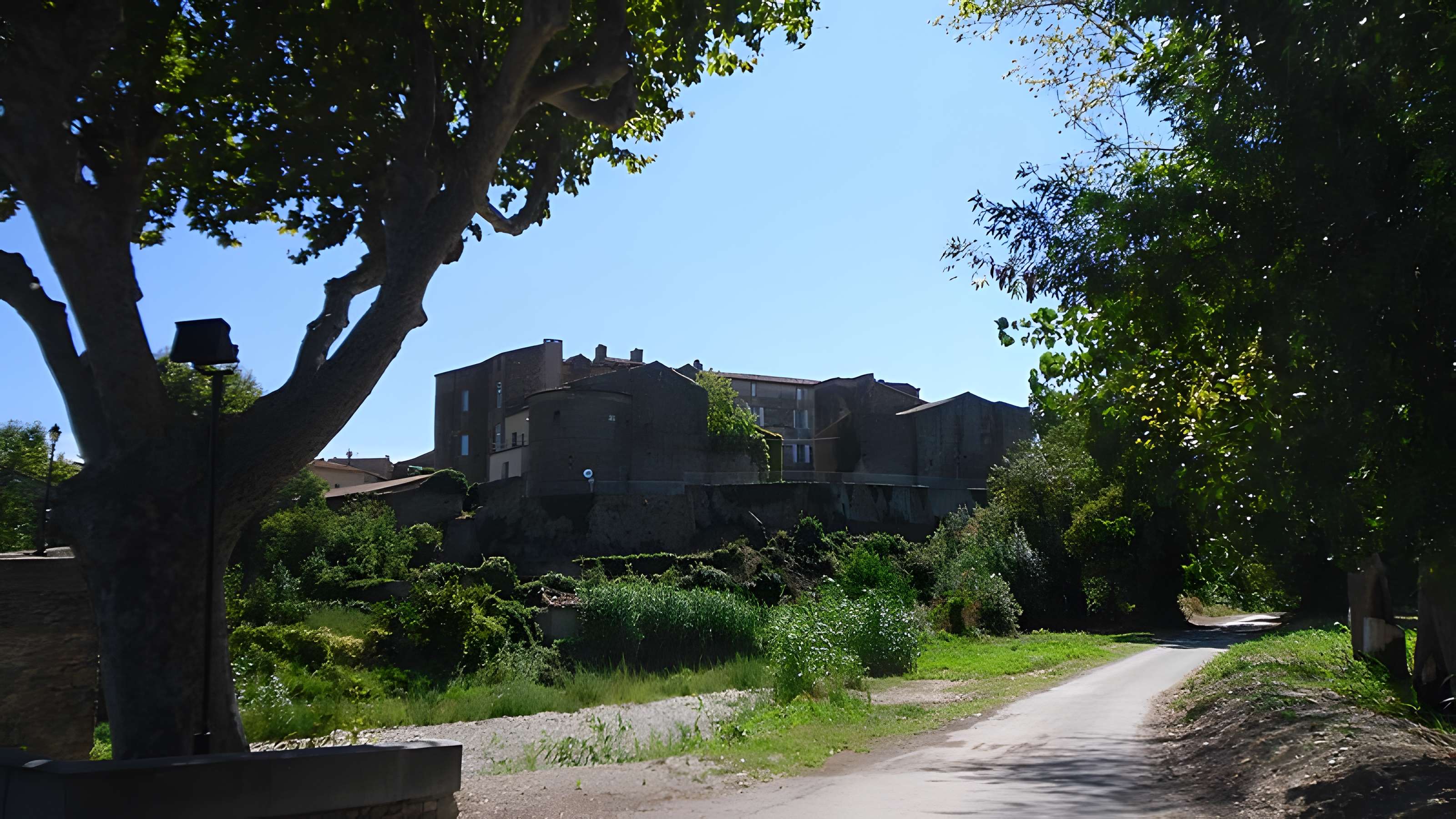 Château de Rieux-Minervois