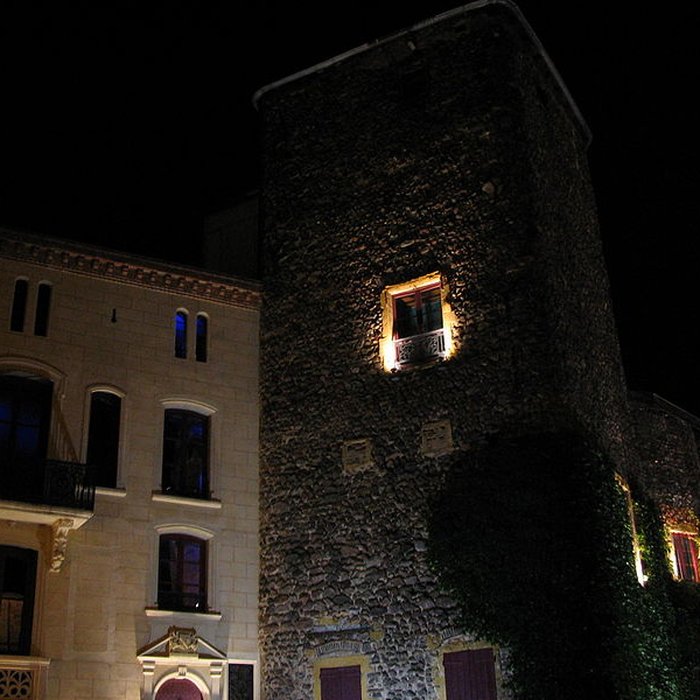 Photo de Château de Roanne