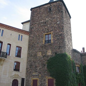 Château de Roanne