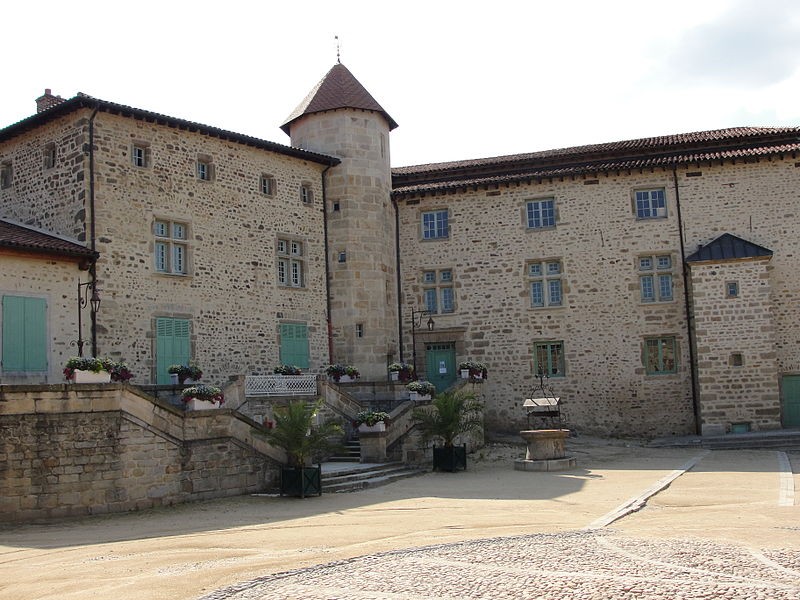 Photo de Château de Roche la Molière