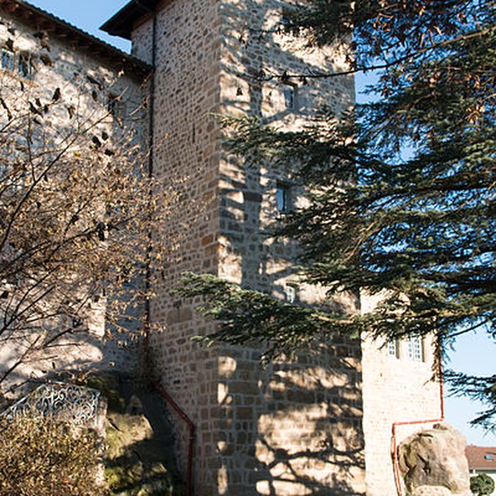 Photo de Château de Roche la Molière